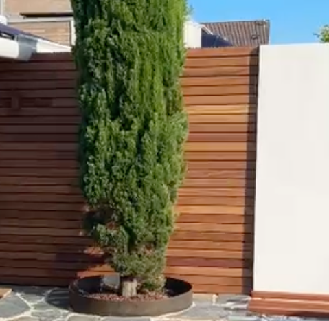 Moderner Zaun mit geradlinigen Lamellen aus Ipe-Holz