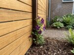 Detail der 7 cm Teak Lamellen an einem Azobé Pfosten mit Clematis